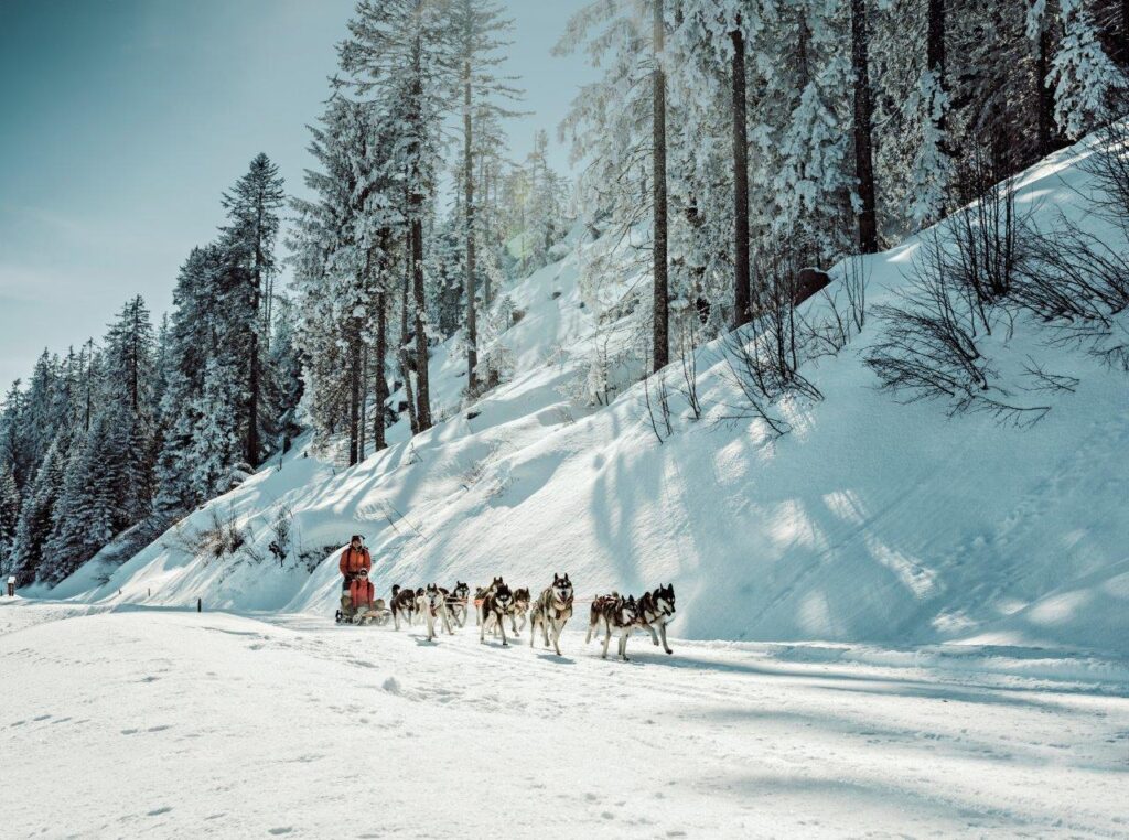 Leer mushing in Champéry © ST_Valais-Les-Giettes, Ivo Scholz