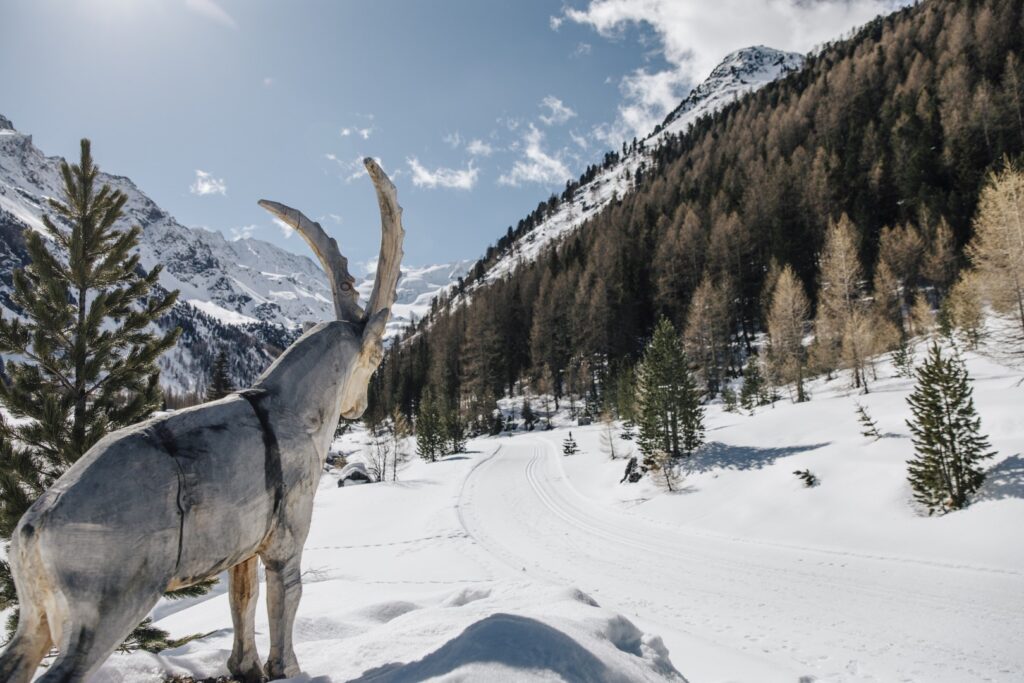 © IDM Südtirol-Alto Adige / Benjamin Pfitscher